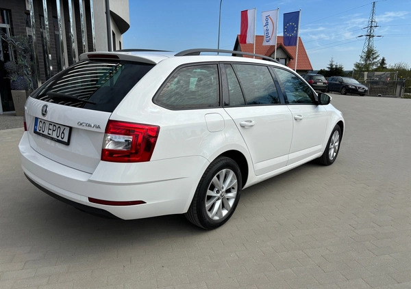 Skoda Octavia cena 44895 przebieg: 235403, rok produkcji 2017 z Żukowo małe 79